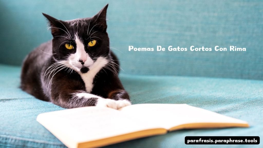Poemas De Gatos Cortos Con Rima 1 Poemas De Gatos Cortos Con Rima