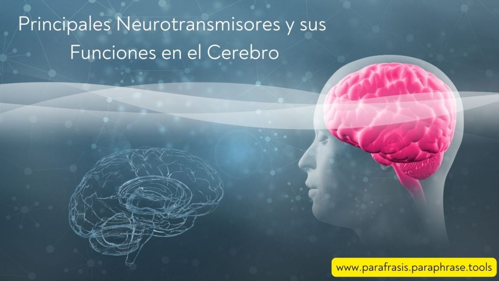 Principales Neurotransmisores y sus Funciones en el Cerebro 1 Principales Neurotransmisores y sus Funciones en el Cerebro