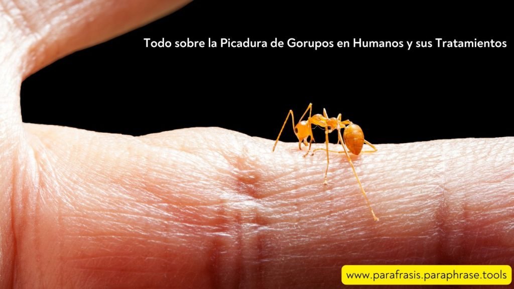 Todo sobre la Picadura de Gorupos en Humanos y sus Tratamientos